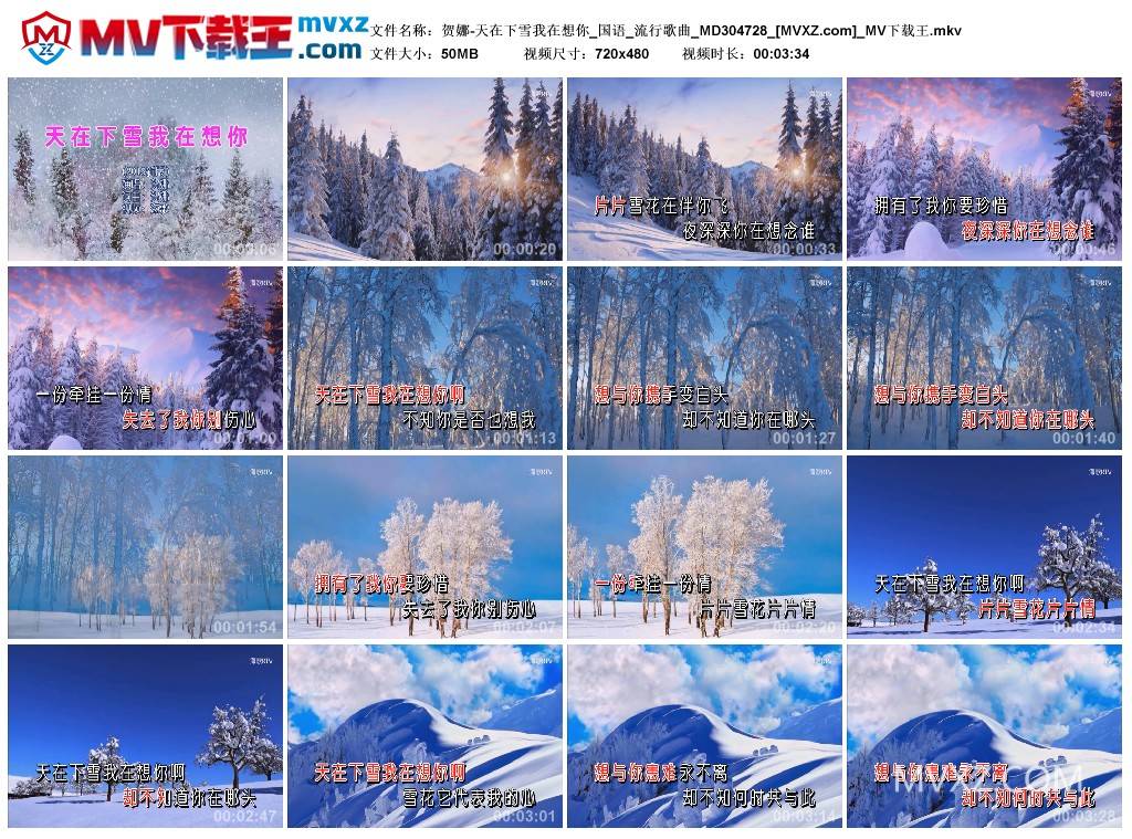 贺娜-天在下雪我在想你_国语_流行歌曲_MD304728
